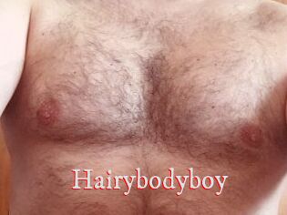 Hairybodyboy
