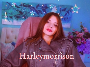 Harleymorrison