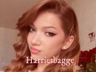 Harrietbagge