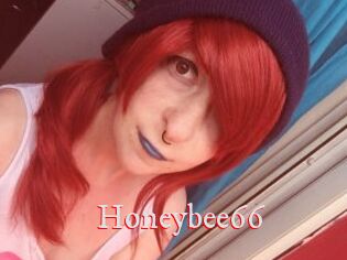 Honeybee66