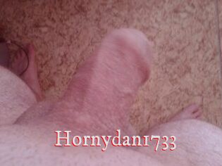 Hornydan1733