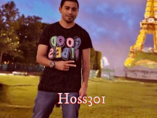 Hoss301