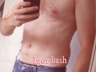 Igor_bash