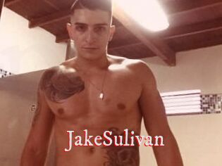 Jake_Sulivan