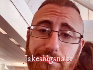 Jakesbigsnake