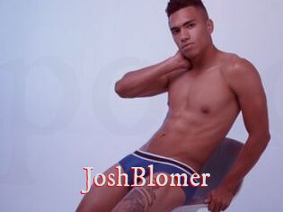 JoshBlomer Pornstars Zoe