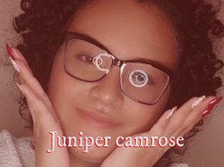 Juniper_camrose