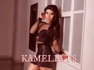 KAMELIA_TS