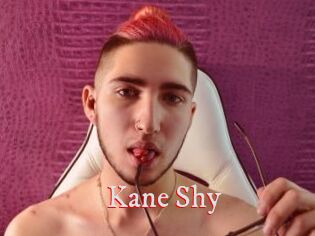 Kane_Shy Pornstars Zoe
