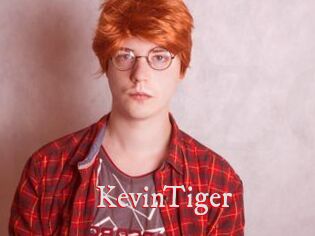 KevinTiger