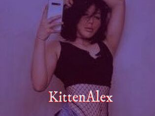 KittenAlex