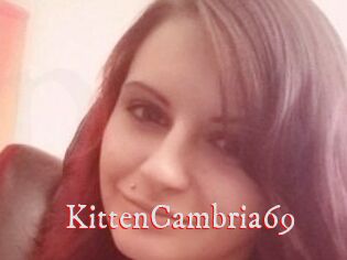 KittenCambria69