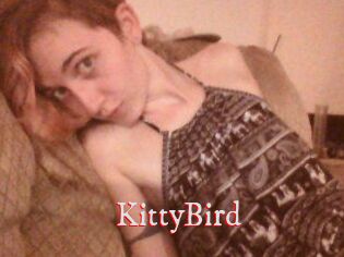 KittyBird