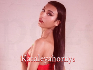 Kataleyahornys