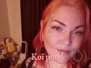 Koi_pond