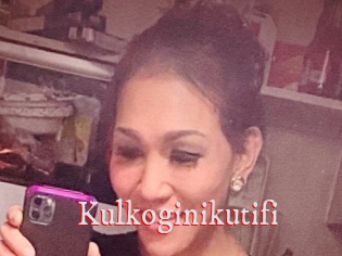 Kulkoginikutifi
