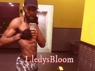 Lledys_Bloom