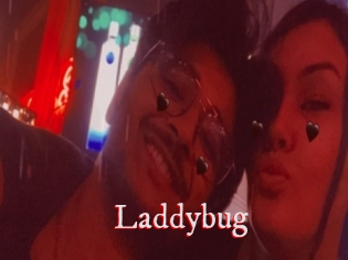 Laddybug