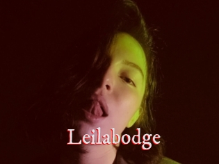 Leilabodge