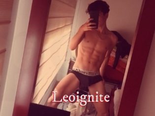 Leoignite