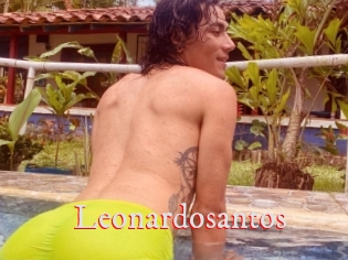 Leonardosantos