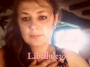 Libellule39