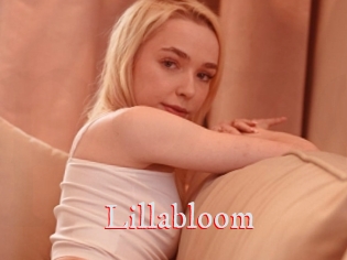 Lillabloom