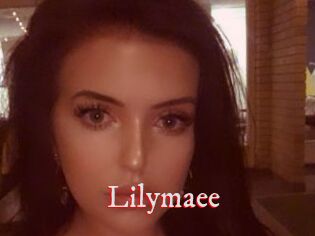 Lilymaee