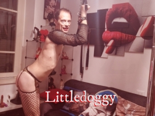 Littledoggy