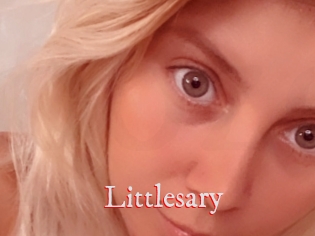 Littlesary