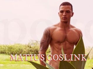 MATIUS_COSLINK