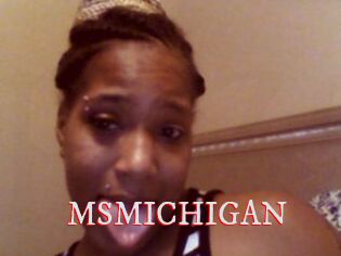MSMICHIGAN