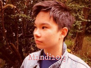 Mandi2013