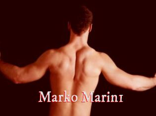 Marko_Marin1