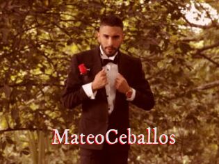 MateoCeballos
