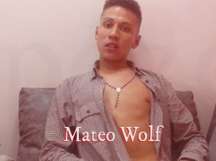 Mateo_Wolf