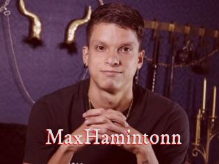 MaxHamintonn