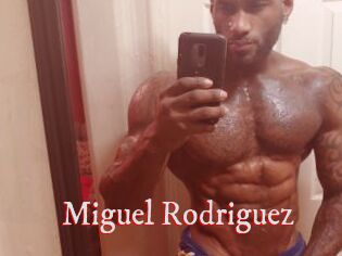 Miguel_Rodriguez