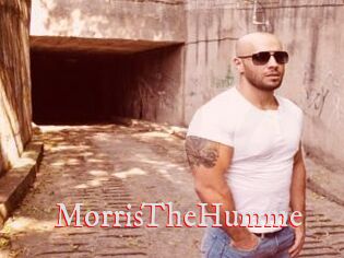 MorrisTheHumme
