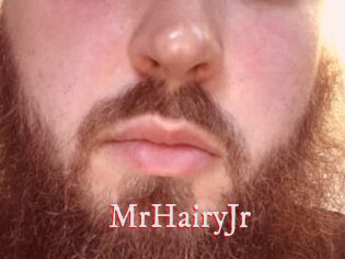MrHairyJr