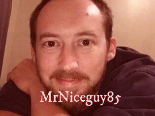 MrNiceguy85