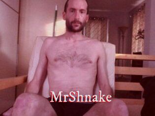 MrShnake