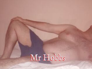 Mr_Hobbs