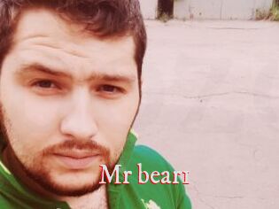 Mr_bear1