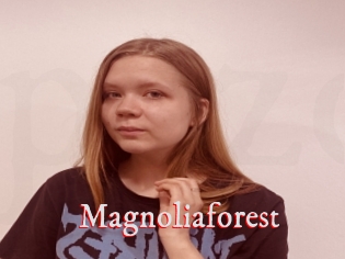 Magnoliaforest