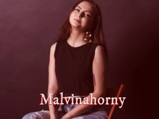 Malvinahorny