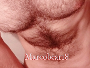 Marcobear18