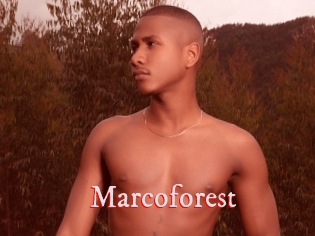 Marcoforest