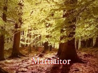 Martiaitor