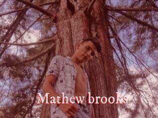 Mathew_brooks